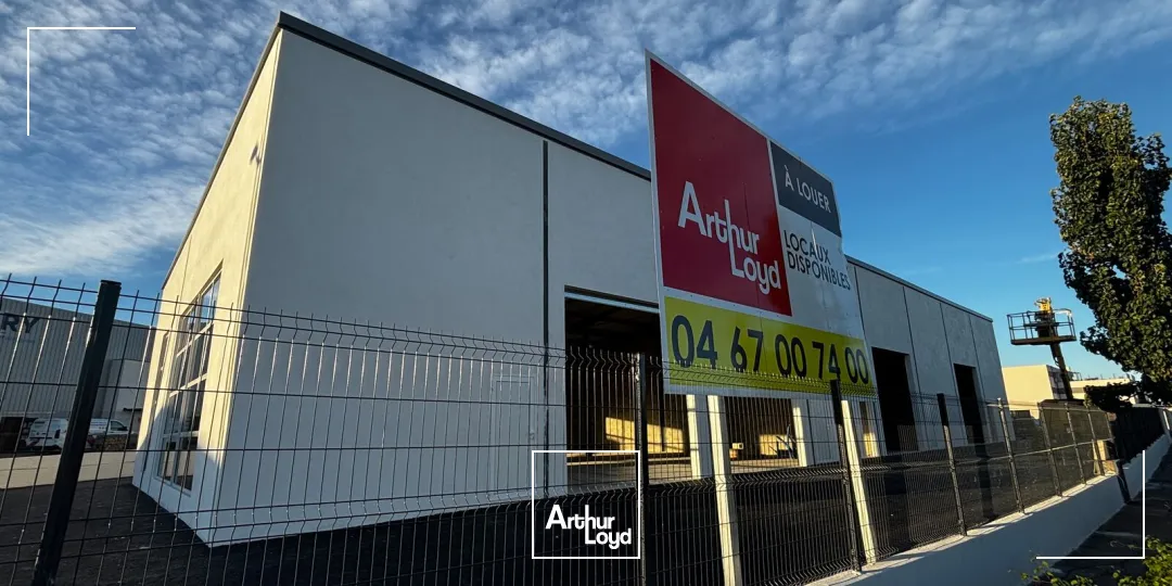 Bureaux - Location - PORTIRAGNES - 34420 - 77-1082.66 - 7913048