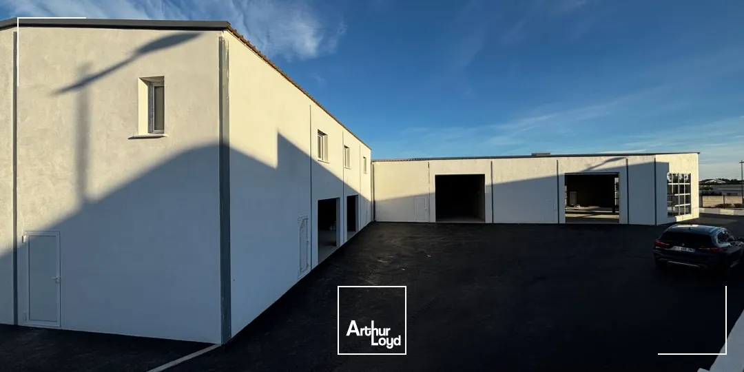 Bureaux - Location - PORTIRAGNES - 34420 - 77-1082.66 - 7913051