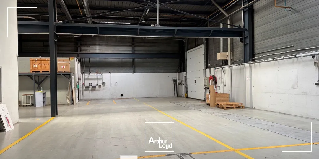 Locaux d'activité & Entrepôts - Vente - CHASSIEU - 69680 - 4635-4635 - 7913306