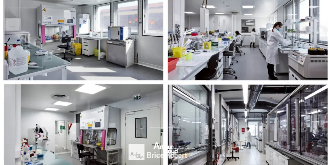 Bureaux - Location - LYON - 69008 - 354-1105 - 7913337