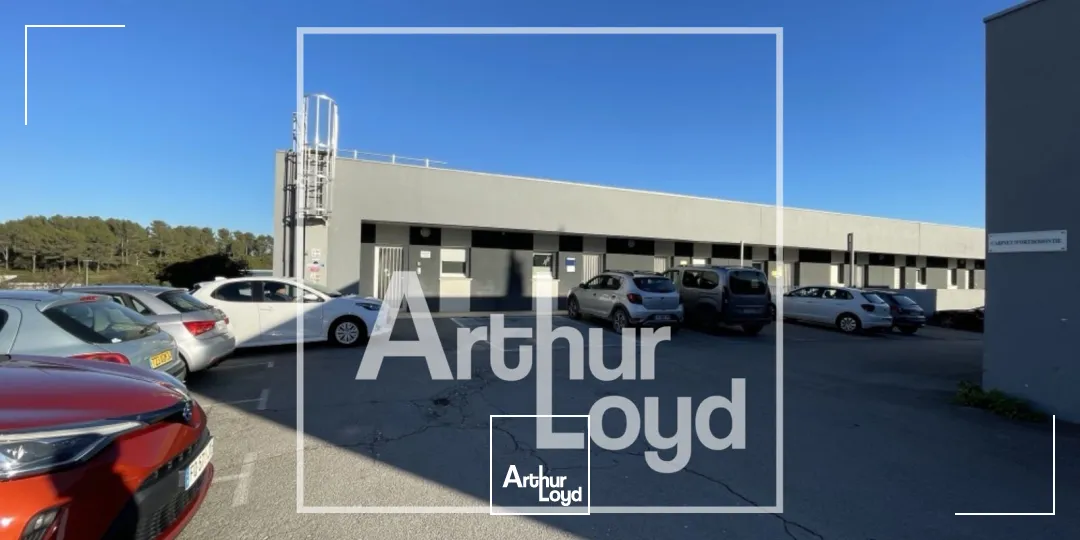 Bureaux - Location - SAINT GELY DU FESC - 34980 - 180-180 - 7914715