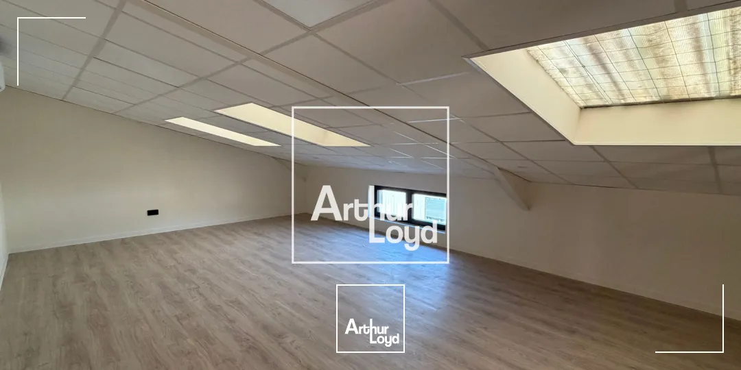 Locaux d'activité & Entrepôts - Vente - MONTRABE - 31850 - 333-333 - 7915219