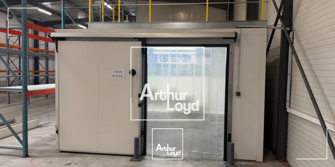 Locaux d'activité & Entrepôts - Location - TOULOUSE - 31200 - 710-710 - 7915228
