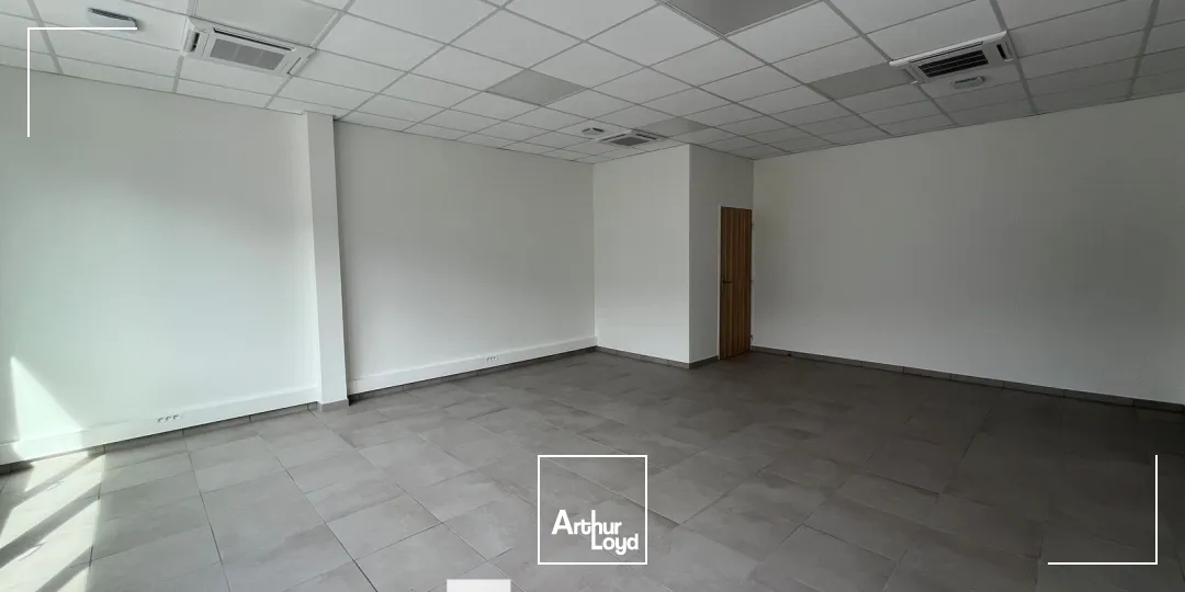 Locaux d'activité & Entrepôts - Location - OULLINS-PIERRE-BÉNITE - 69310 - 323-323 - 7915428