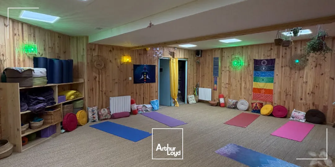 Locaux commerciaux - Vente - LIMOGES - 87000 - 230-230 - 7915507