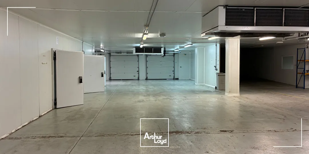 Locaux d'activité & Entrepôts - Location - ROCHEFORT - 17300 - 976-976 - 7917122