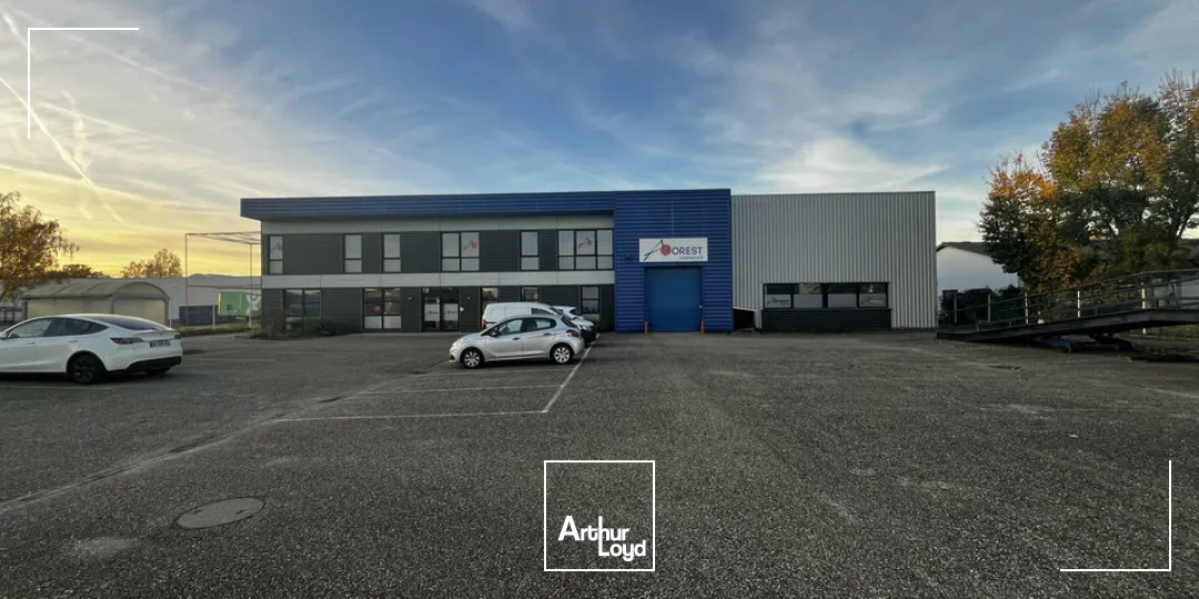 Locaux d'activité & Entrepôts - Vente - ILLKIRCH-GRAFFENSTADEN - 67400 - 1161-1161 - 7917216