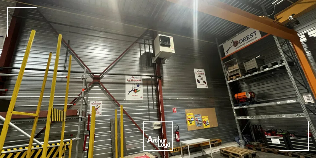 Locaux d'activité & Entrepôts - Vente - ILLKIRCH-GRAFFENSTADEN - 67400 - 1161-1161 - 7917218