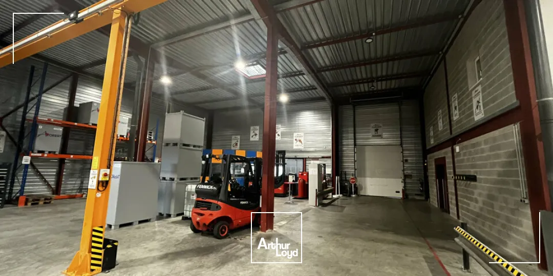 Locaux d'activité & Entrepôts - Vente - ILLKIRCH-GRAFFENSTADEN - 67400 - 1161-1161 - 7917219