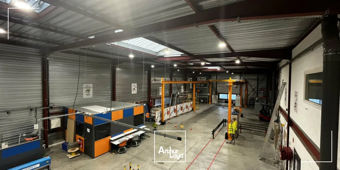 Locaux d'activité & Entrepôts - Vente - ILLKIRCH-GRAFFENSTADEN - 67400 - 1161-1161 - 7917221