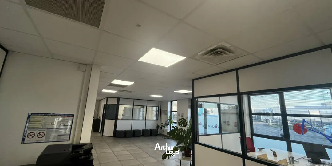 Locaux d'activité & Entrepôts - Vente - ILLKIRCH-GRAFFENSTADEN - 67400 - 1161-1161 - 7917222