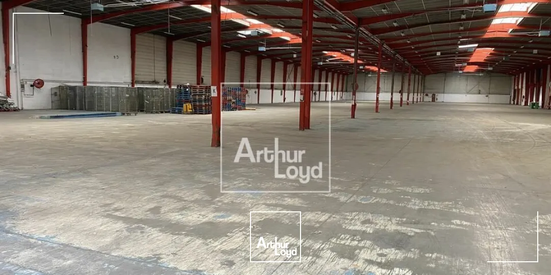 Locaux d'activité & Entrepôts - Location - MORANGIS - 91420 - 1060-11601 - 7917254
