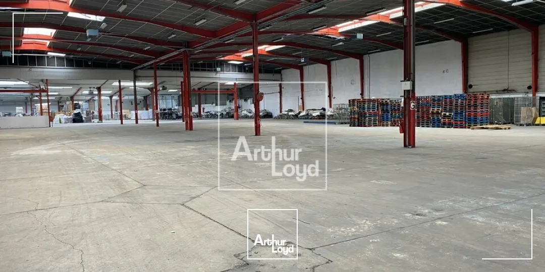 Locaux d'activité & Entrepôts - Location - MORANGIS - 91420 - 1060-11601 - 7917256