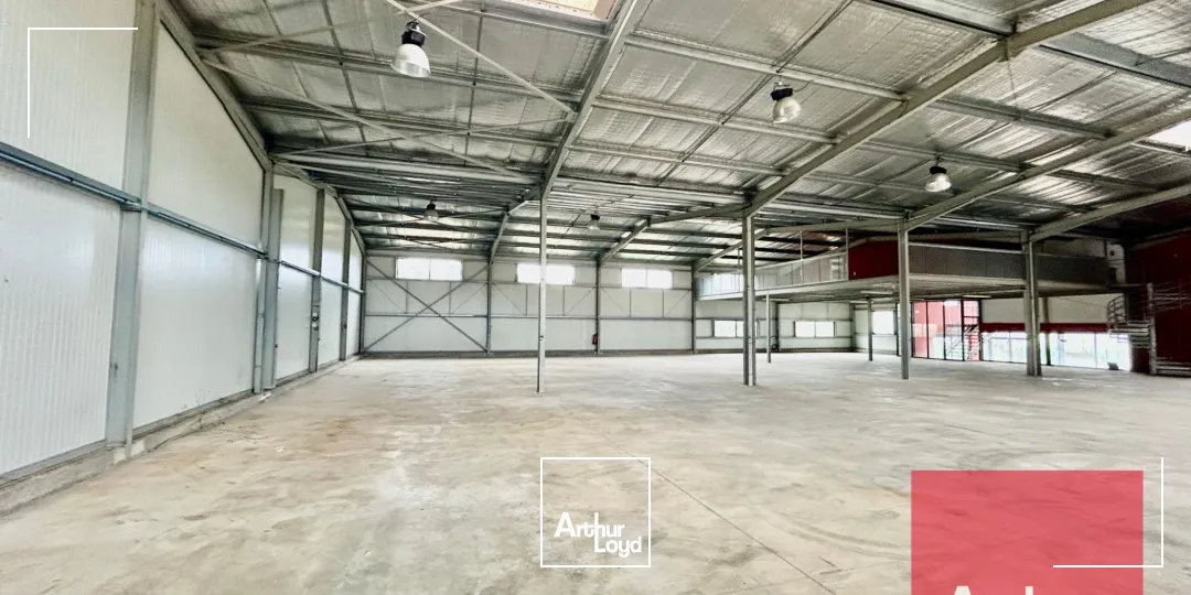 Locaux d'activité & Entrepôts - Location - FRONTIGNAN - 34110 - 1040-1040 - 7917671