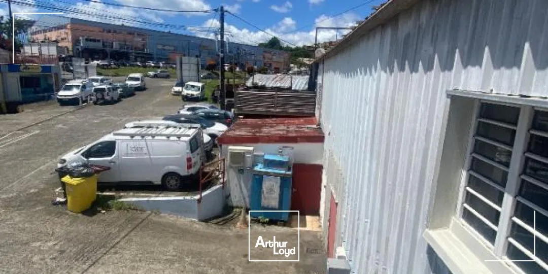 Bureaux - Location - Ducos - 97224 - 11-11 - 7919439