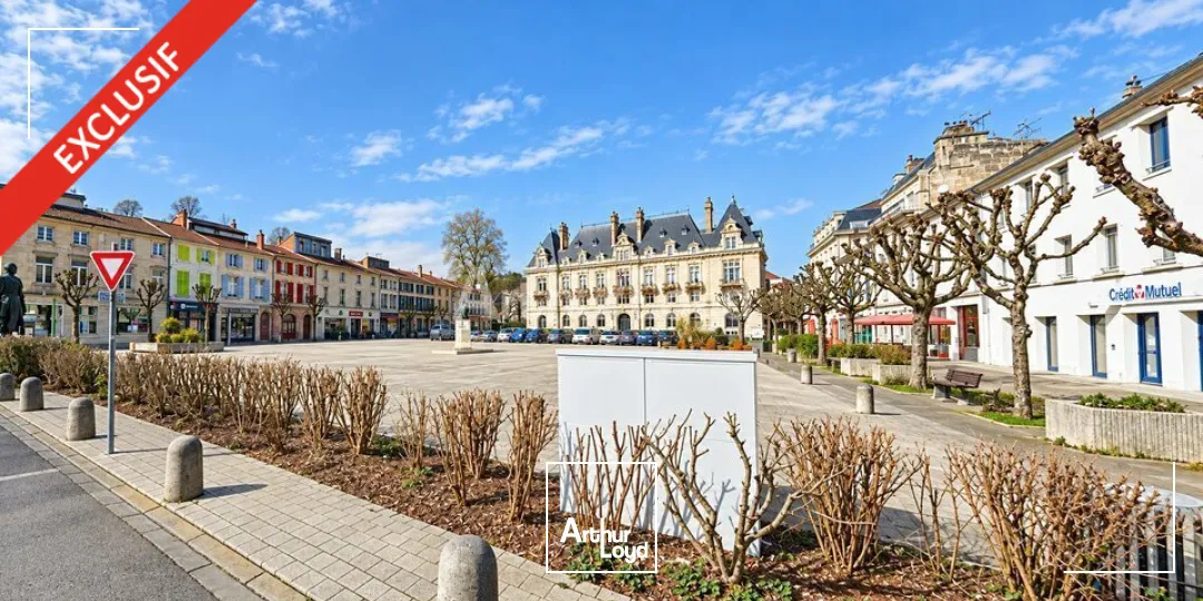 Locaux d'activité & Entrepôts - Vente - BAR-LE-DUC - 55000 - 489-489 - 7919521