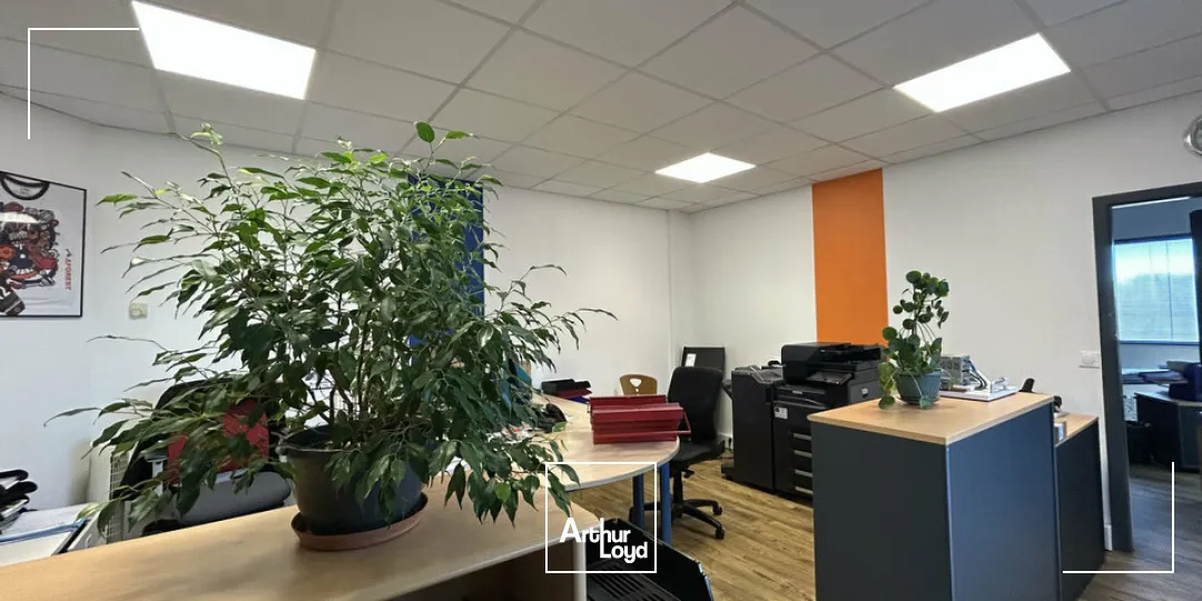 Locaux d'activité & Entrepôts - Vente - HENRIVILLE - 57450 - 808-808 - 7919524