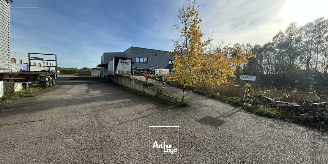 Locaux d'activité & Entrepôts - Vente - HENRIVILLE - 57450 - 808-808 - 7919531