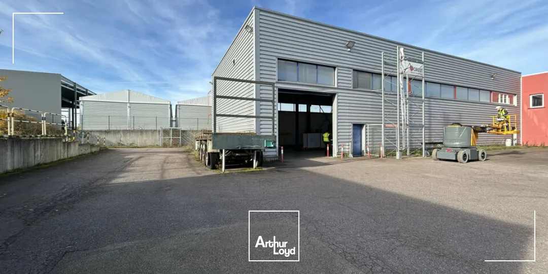Locaux d'activité & Entrepôts - Vente - HENRIVILLE - 57450 - 808-808 - 7919532