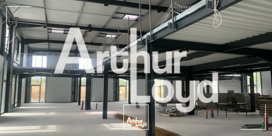Locaux d'activité & Entrepôts - Vente - AMANCY - 74800 - 5714-5714 - 7919962