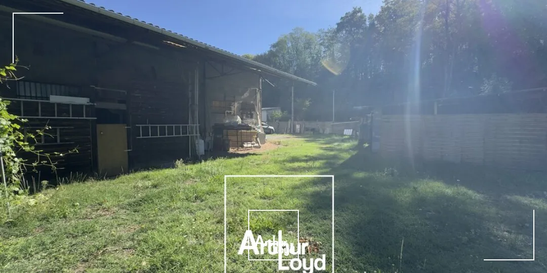 Locaux d'activité & Entrepôts - Vente - SAINT-PANTALÉON-DE-LARCHE - 19600 - 250-250 - 7920969