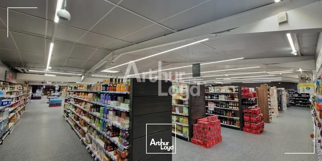Locaux commerciaux - Location - MONTOIRE SUR LE LOIR - 41800 - 135-409 - 7921690