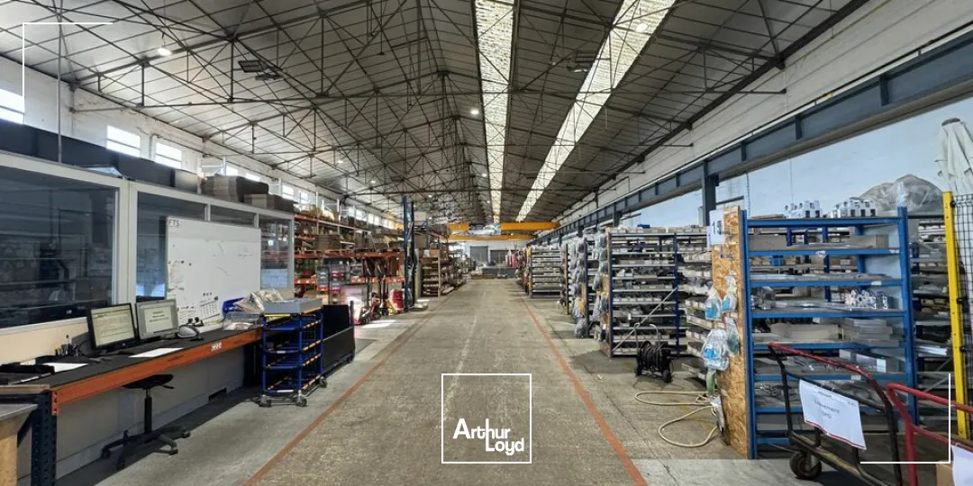 Locaux d'activité & Entrepôts - Vente - JOUÉ-LÈS-TOURS - 37300 - 3989-3989 - 7921731