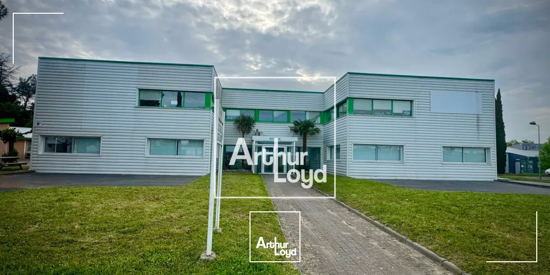 Bureaux - Vente - SAINTE FOY D'AIGREFEUILLE - 31570 - 1600-1600 - 7922440