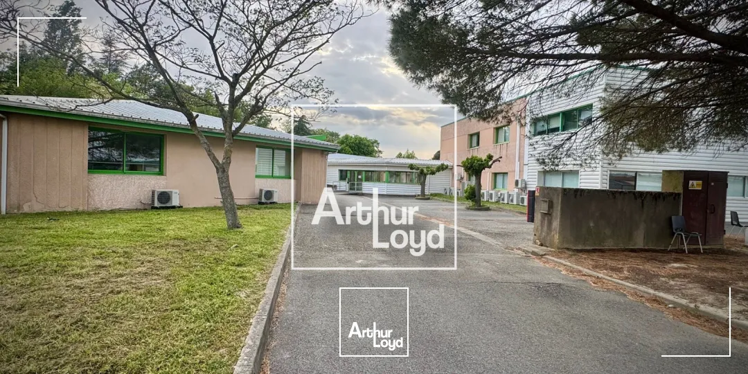 Bureaux - Vente - SAINTE FOY D'AIGREFEUILLE - 31570 - 1600-1600 - 7922441