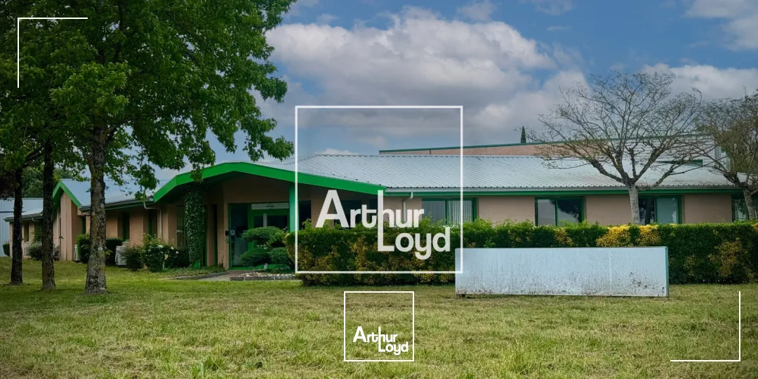 Bureaux - Vente - SAINTE FOY D'AIGREFEUILLE - 31570 - 1600-1600 - 7922442