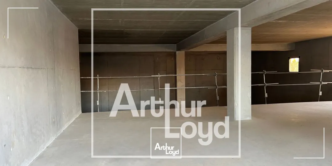 Locaux d'activité & Entrepôts - Vente - VILLENEUVE LES MAGUELONE - 34750 - 225.62-3404.36 - 7923039