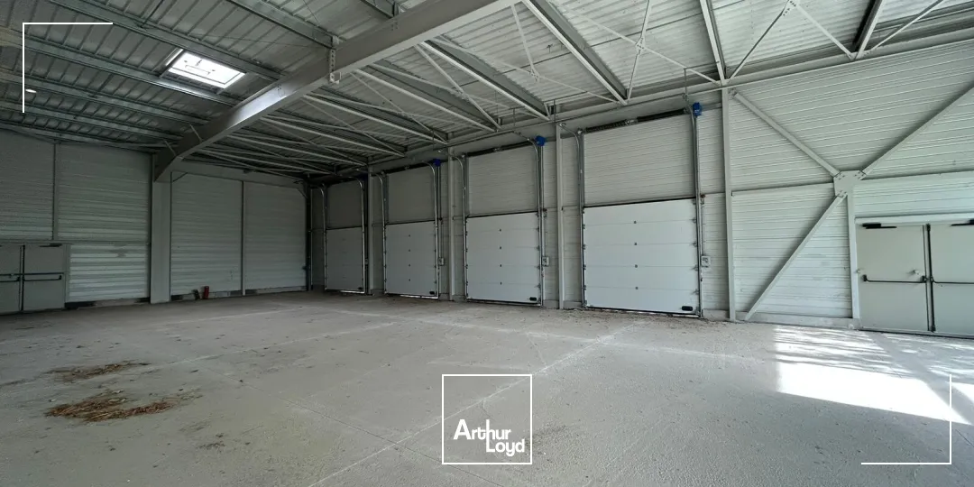 Locaux commerciaux - Location - POLLESTRES - 66450 - 310-310 - 7923238