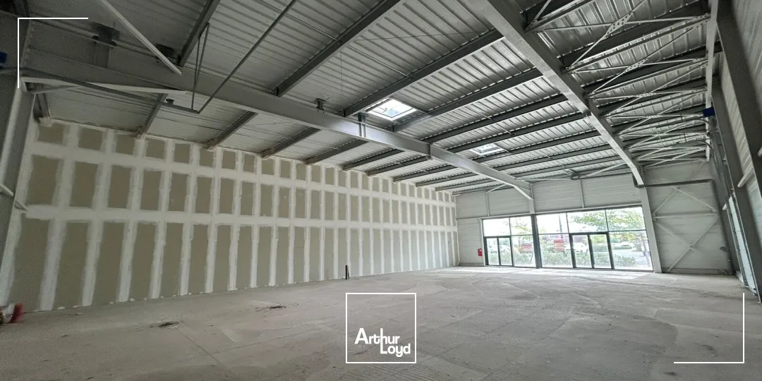 Locaux commerciaux - Location - POLLESTRES - 66450 - 381-381 - 7923243