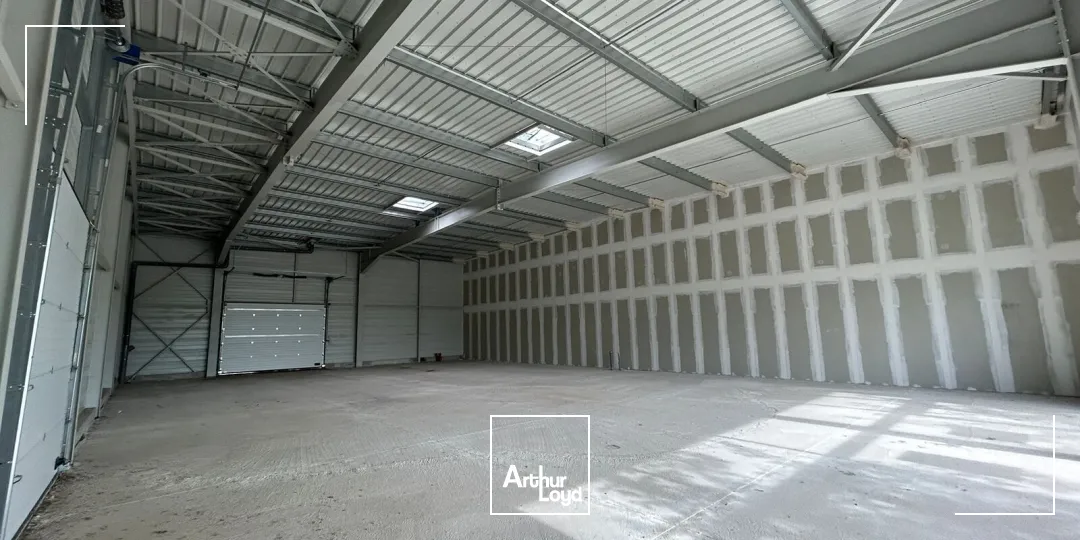 Locaux commerciaux - Location - POLLESTRES - 66450 - 381-381 - 7923244