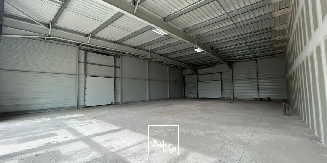 Locaux commerciaux - Location - POLLESTRES - 66450 - 381-381 - 7923242
