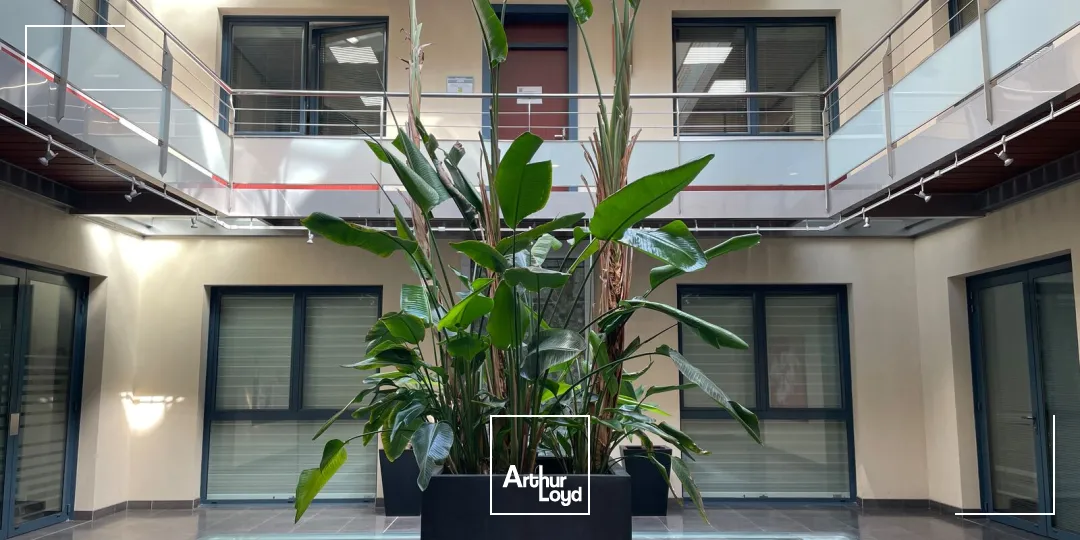 Bureaux - Location - BEZIERS - 34500 - 116.4-116.4 - 7923252