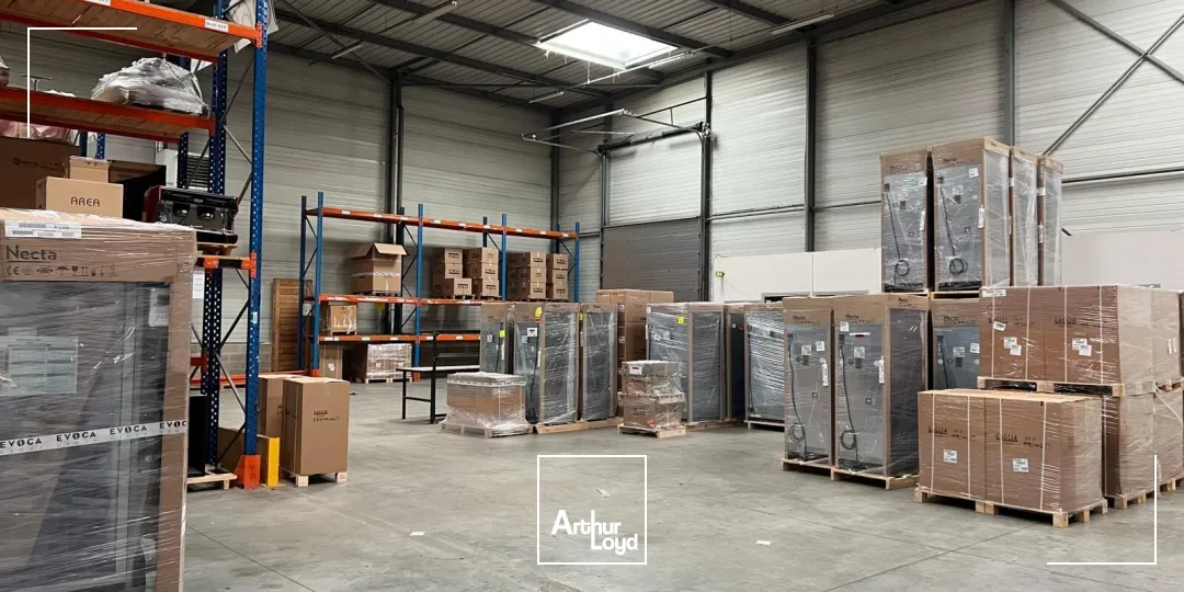 Locaux d'activité & Entrepôts - Location - LE MESNIL AMELOT - 77990 - 1309-1309 - 7923456