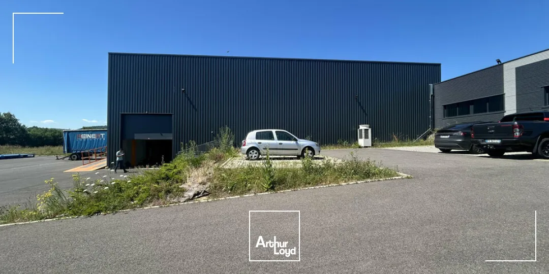 Locaux d'activité & Entrepôts - Vente - FLORANGE - 57190 - 990-990 - 7924493