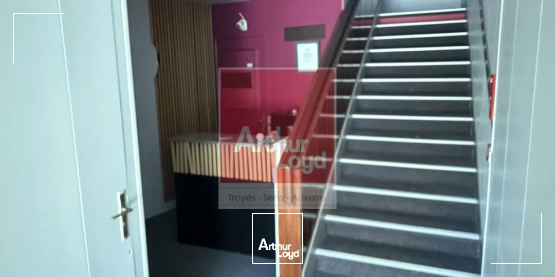 Locaux d'activité & Entrepôts - Vente - TROYES - 10000 - 363-363 - 7924581