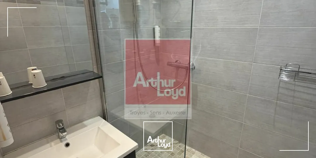 Locaux d'activité & Entrepôts - Vente - TROYES - 10000 - 363-363 - 7924584
