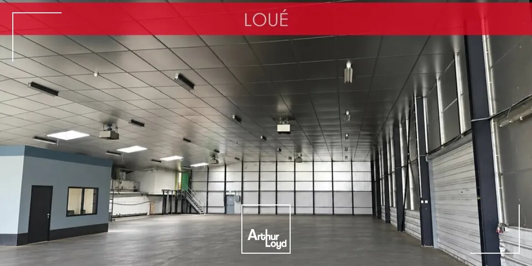 Locaux d'activité & Entrepôts - Location - LA CHAPELLE-SAINT-URSIN - 18570 - 1100-1100 - 7924601
