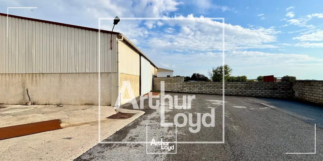 Locaux d'activité & Entrepôts - Location - VENDARGUES - 34740 - 634-634 - 7928031