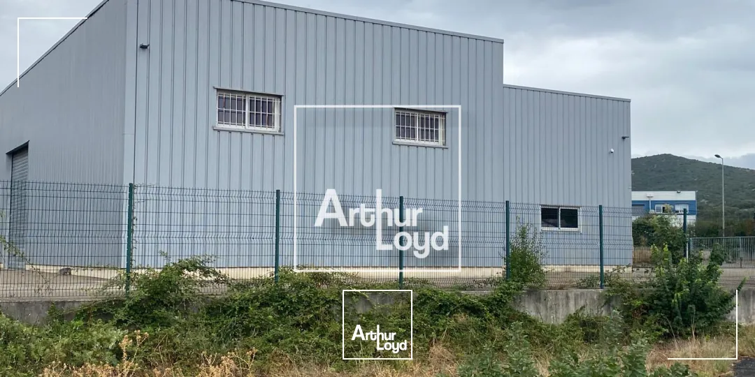 Locaux d'activité & Entrepôts - Location - SAINT HIPPOLYTE DU FORT - 30170 - 350-350 - 7928123