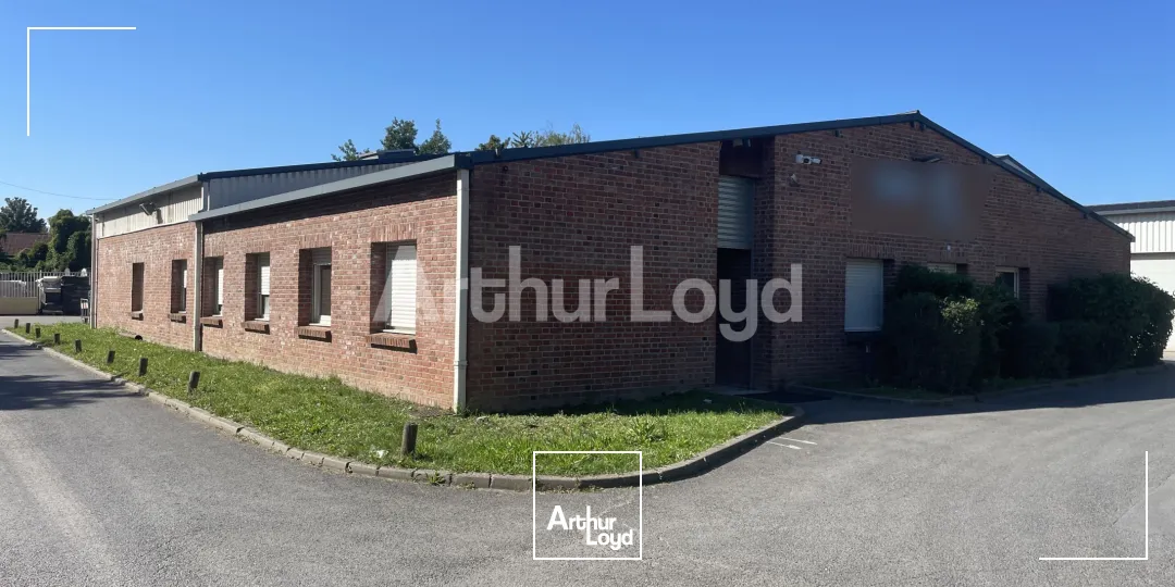 Locaux d'activité & Entrepôts - Vente - SALLAUMINES - 62430 - 480-1235 - 7934991