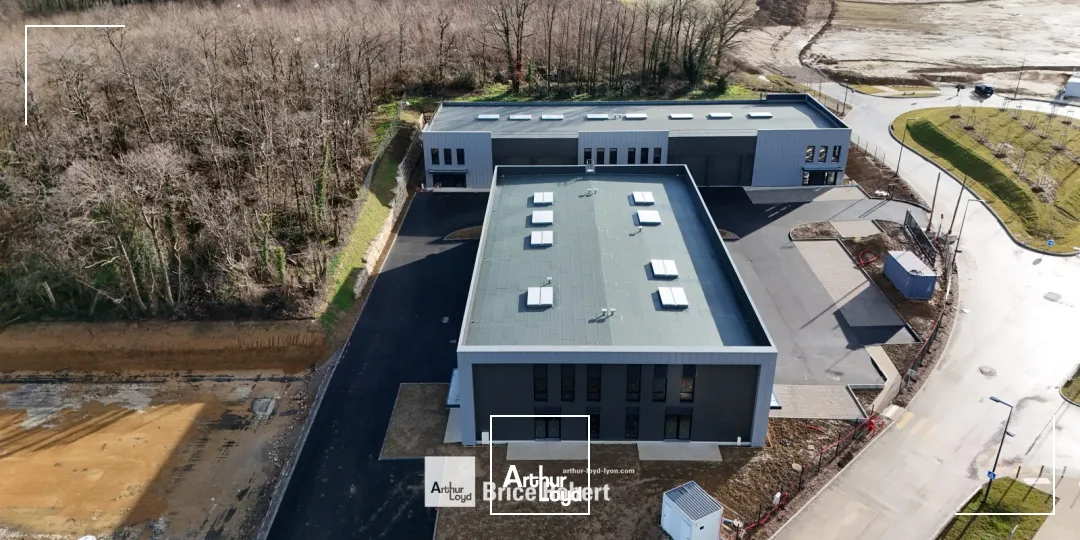 Locaux d'activité & Entrepôts - Vente - MIONNAY - 01390 - 455.2-455.2 - 7946556
