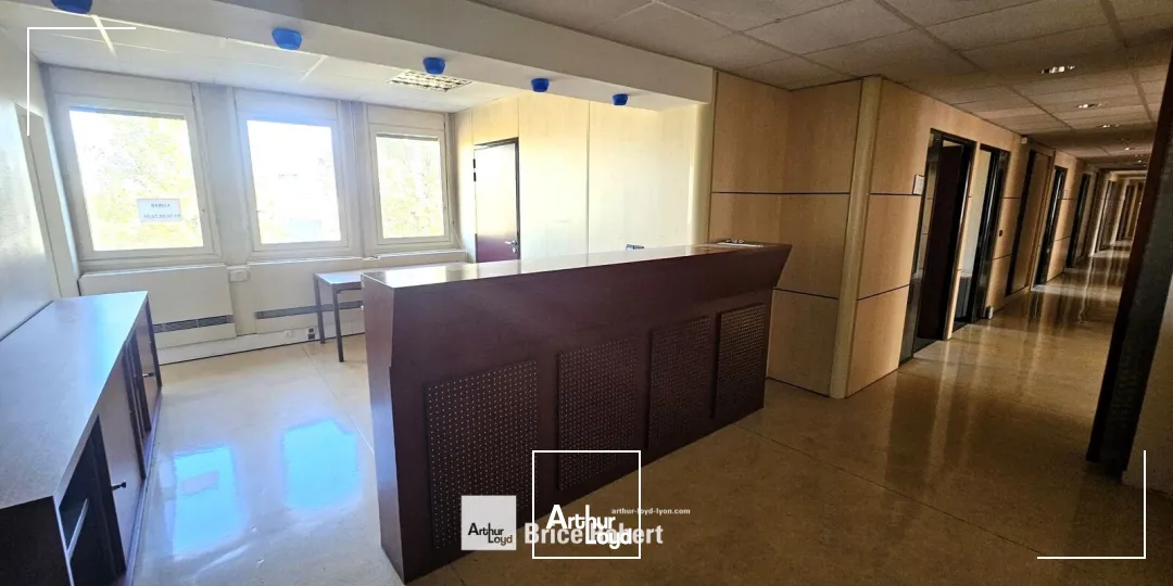 Bureaux - Location - VILLEURBANNE - 69100 - 250-1355 - 7947277