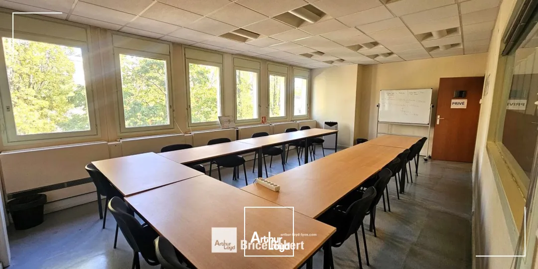 Bureaux - Location - VILLEURBANNE - 69100 - 250-1355 - 7947268