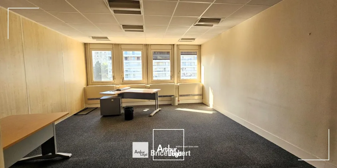 Bureaux - Location - VILLEURBANNE - 69100 - 250-1355 - 7947279
