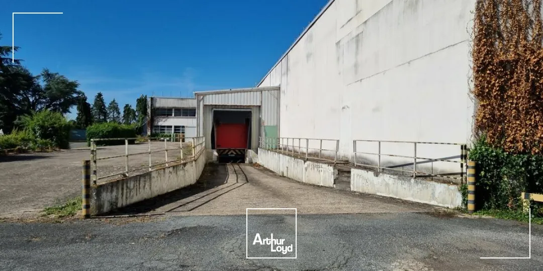 Locaux d'activité & Entrepôts - Location - DISSAY - 86130 - 240-240 - 7947544