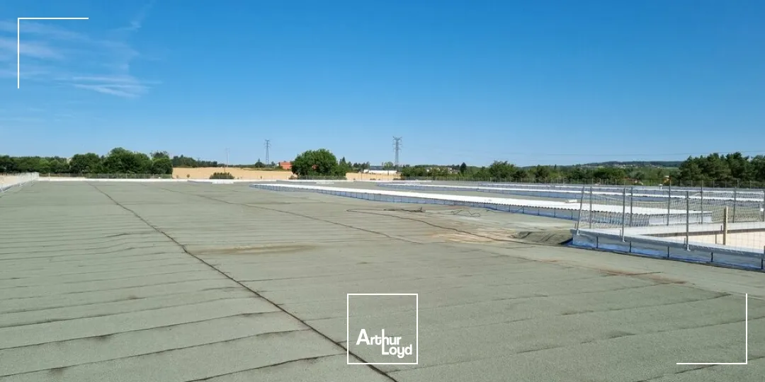 Locaux d'activité & Entrepôts - Location - DISSAY - 86130 - 240-240 - 7947546